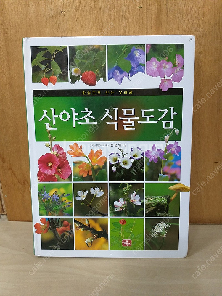 *산야초식물도감-한권으로보는우리풀--0